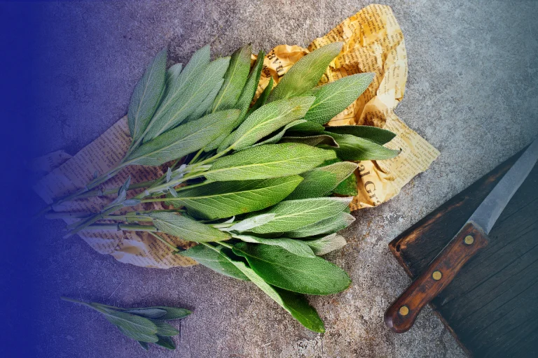 10 diy hair masks for damaged hair