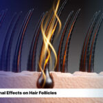 Hormonal Effects on Hair Follicles