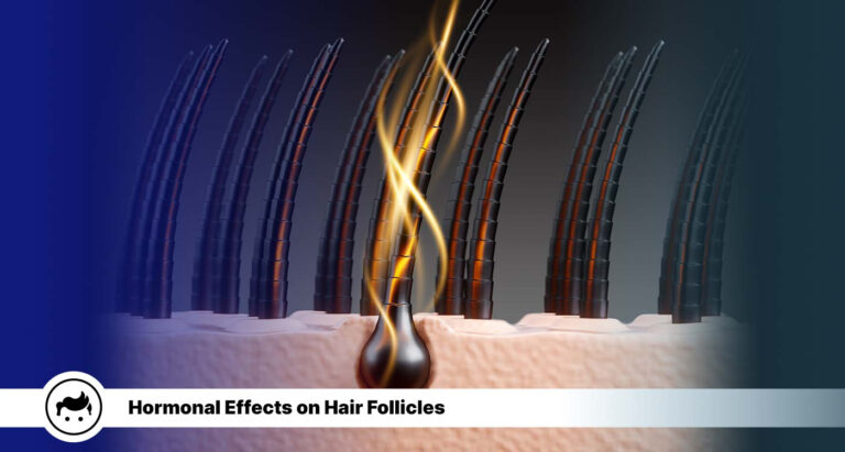 Hormonal Effects on Hair Follicles