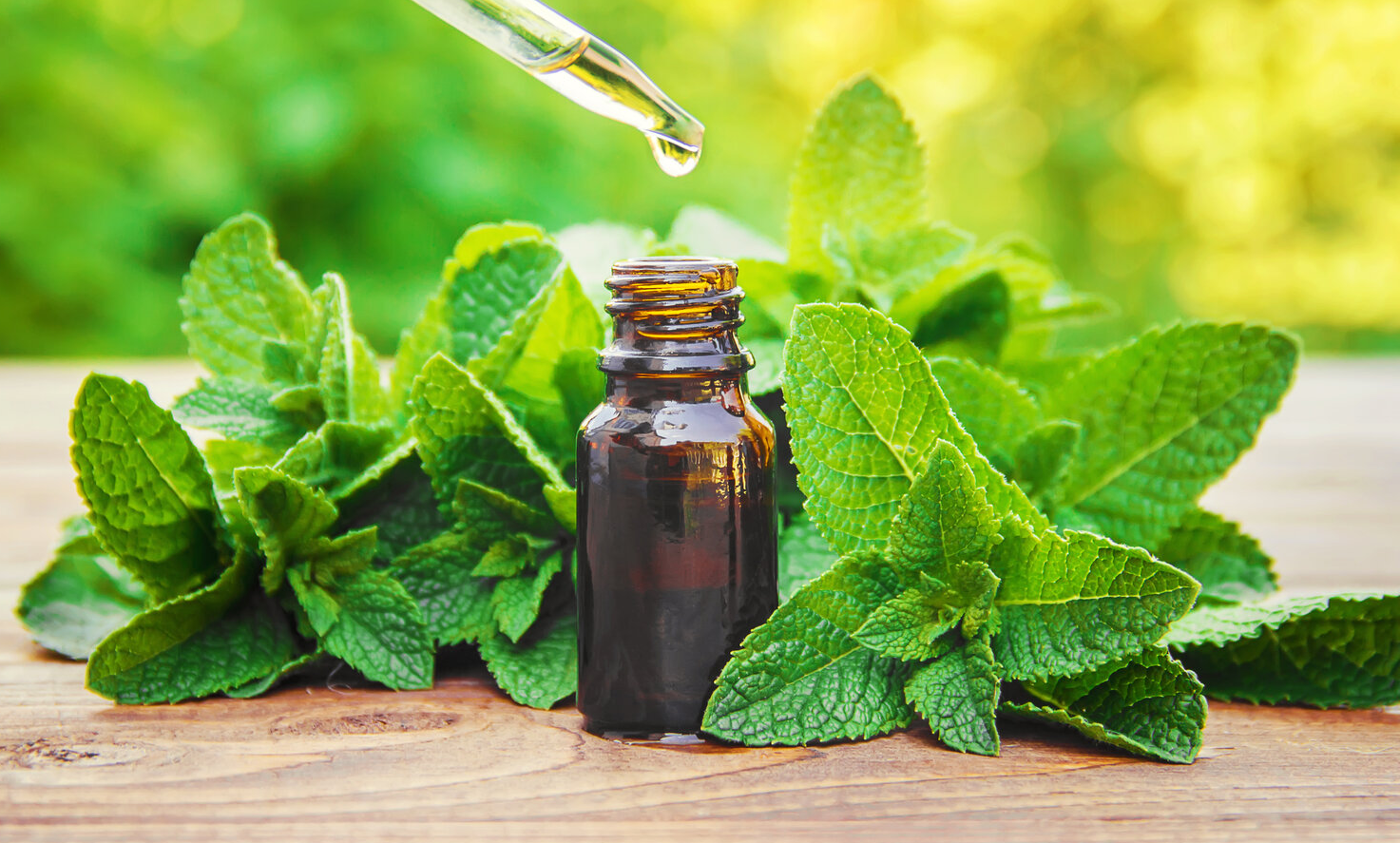 Peppermint essential oil